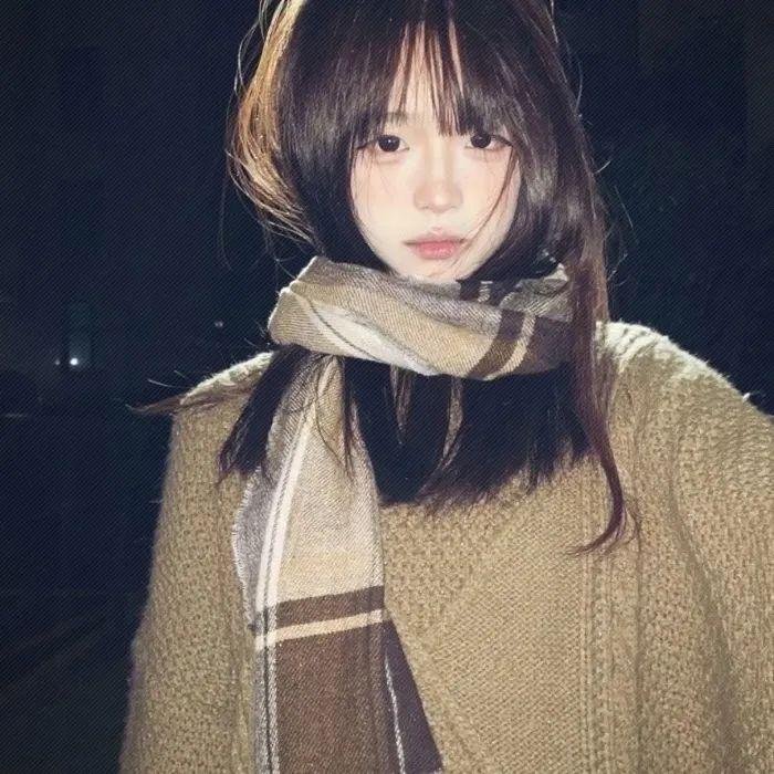 战斗女子学园 海报