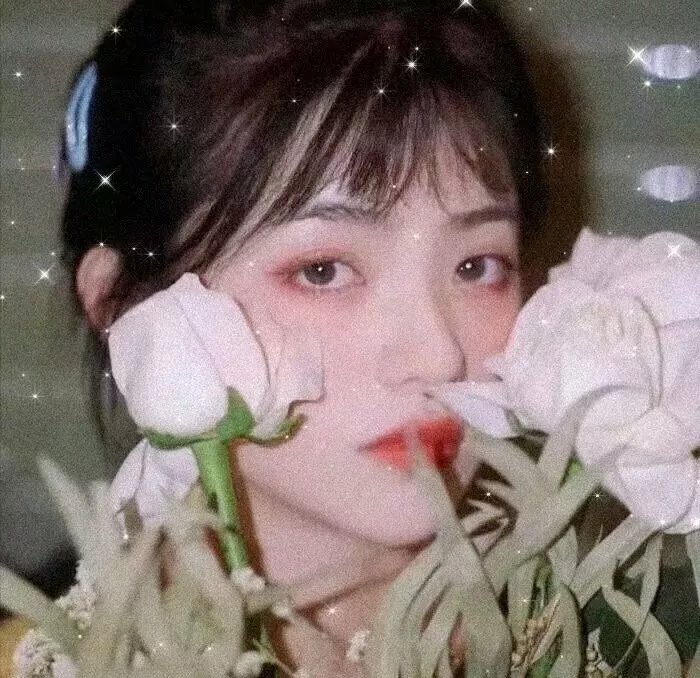 肉林浪子快刀 海报